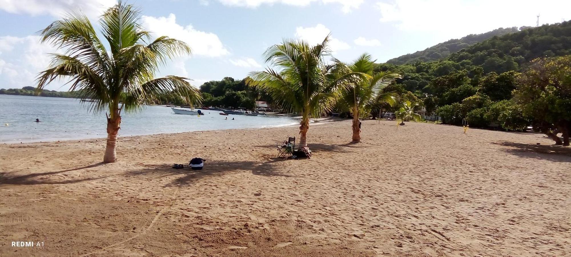 Gites D'Affaires Et Sejours De Groupes Du Robert เลอ โฮแบร์ ภายนอก รูปภาพ